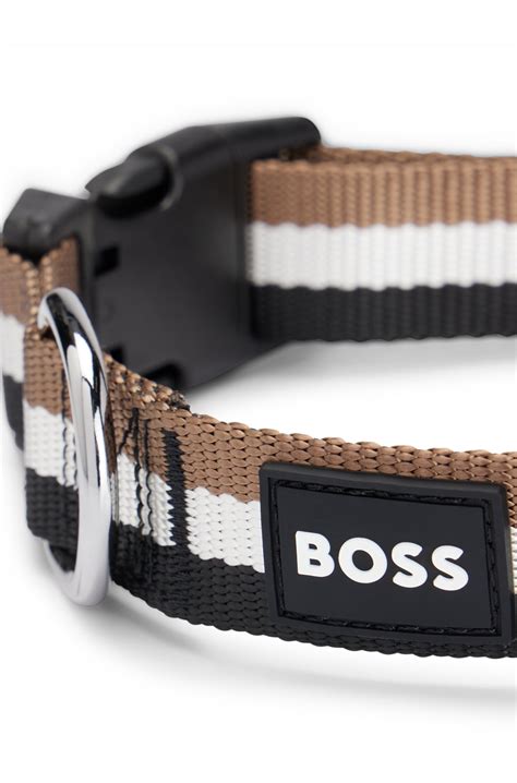 Schwarz Hundehalsband Aus Re